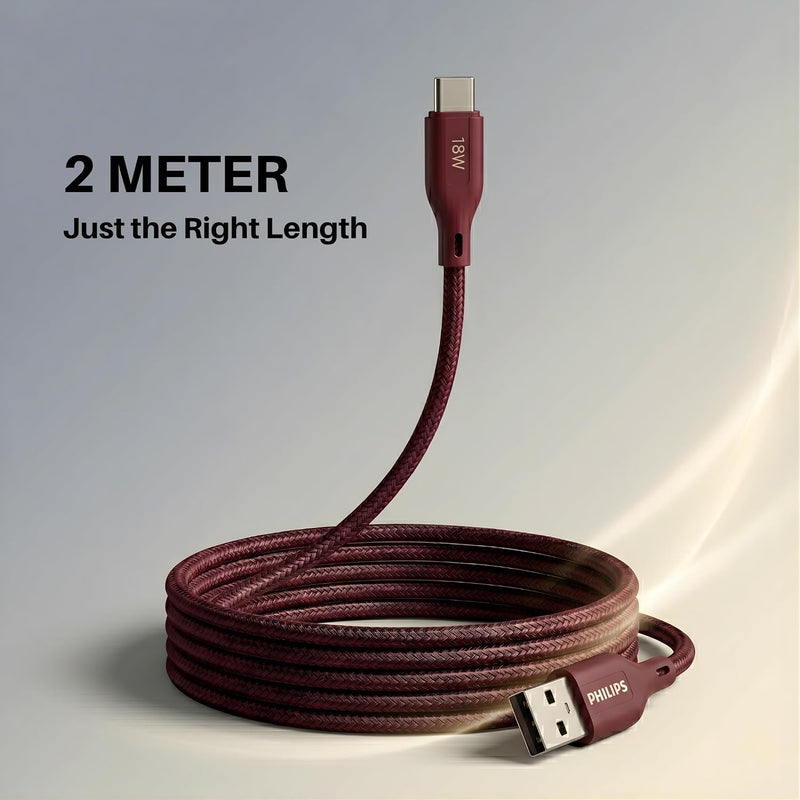 Philips DLC4160AI/94 18W Type-A to Type-C Fast Charging Cable (2m, Iron Red)