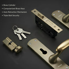 Plantex Heavy-Duty Door Lock/Door Handle Lock Set 6-Lever Lock Mechanism/Mortise Lock with 3 Keys, Brass Lockbody & Cylinder (8134 - Brass Antique & PVD Gold)-4