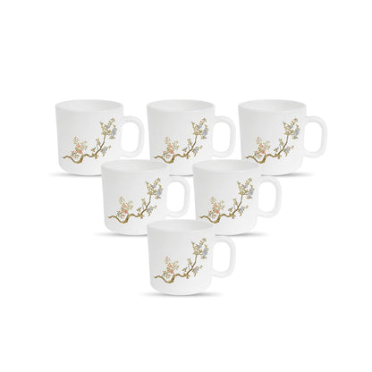 La Opala Diva, Pearl Collection Opal Glass Crockery | Coffee Mug Regular, Set of 6 | Zen Garden, 190 ml | for Tea & Coffee | Microwave Safe | 100% Vegetarian | Extra Strong | Super Light & White
