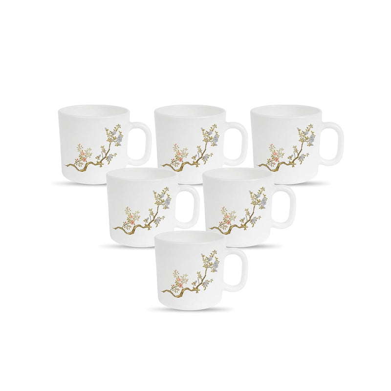 La Opala Diva, Pearl Collection Opal Glass Crockery | Coffee Mug Regular, Set of 6 | Zen Garden, 190 ml | for Tea & Coffee | Microwave Safe | 100% Vegetarian | Extra Strong | Super Light & White