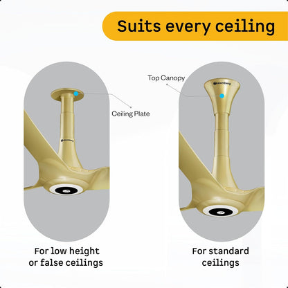 atomberg Aris Starlight BLDC Ceiling Fan 1200mm Best-in-class Air Delivery Smart IoT Remote Silent Operation LED Underlight | BEE 5star | 3 Year Warranty Stellar Black (Tuscan Gold)