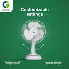 CG Flyair Table Fan 400mm-5