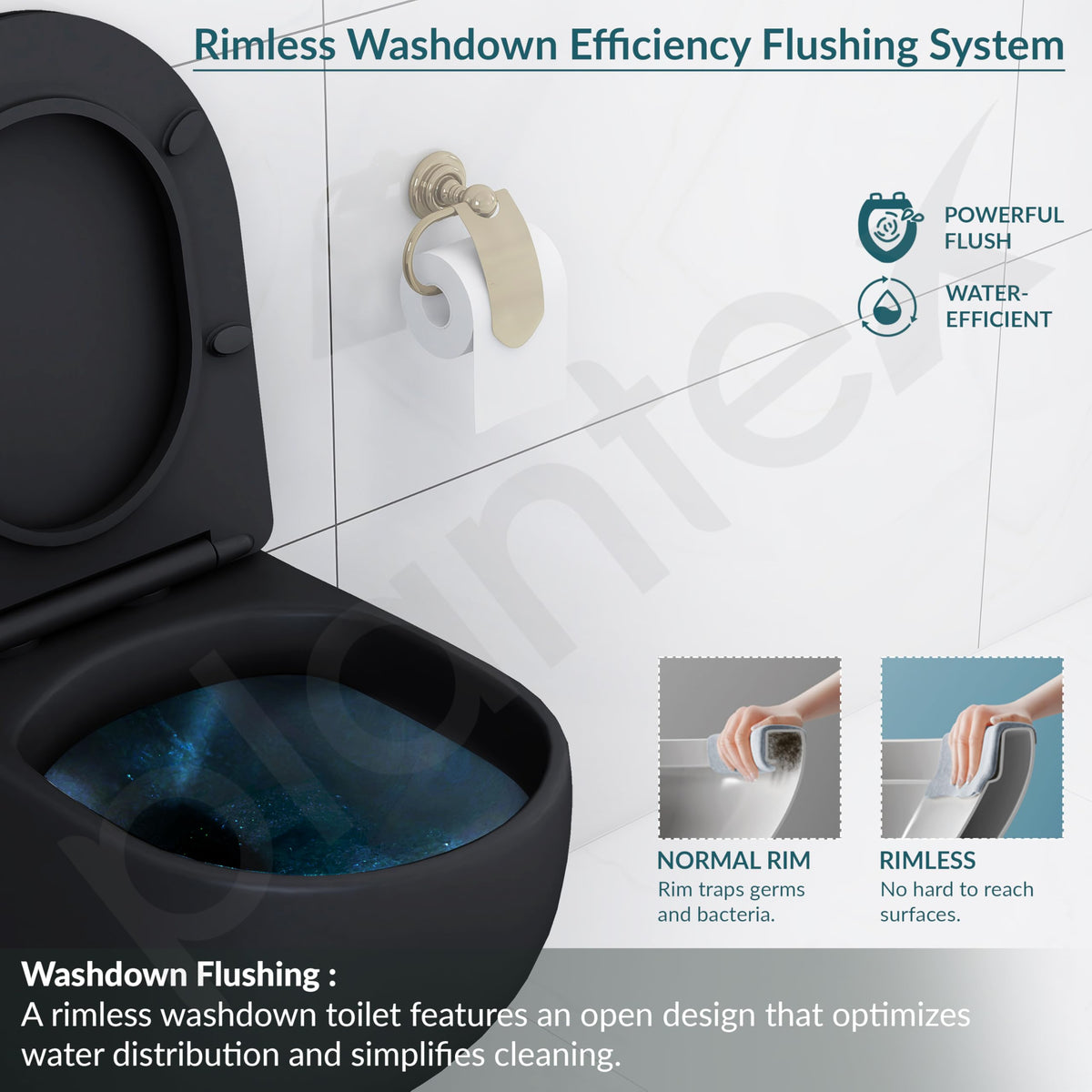 Plantex Imported Ceramic Western Commode for Toilet/Wall Hung Commode/Rimless Washdown Flush Commode with Soft Closing Toilet Seat Cover - P Trap (Matt Black)-5