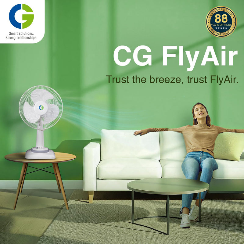 CG Flyair Table Fan 400mm-2