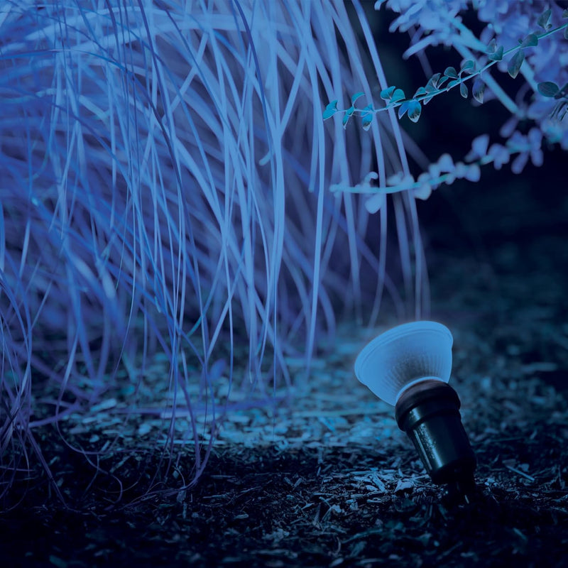 Philips LED 90W PAR38 3-Pack Outdoor Blue Party (3000K) (13.5W = 90W) Flicker-Free Light Bulbs (Pack of 3)