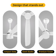 atomberg Renesa Prime 1200mm BLDC Ceiling Fan | Compatible with Step Regulator | BEE 5 star | High Air Delivery | Low Noise | Sleek Design | Power Saving | 3 Year Warranty| Gloss White