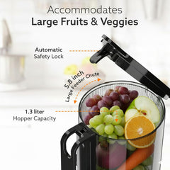 AGARO Regency Cold Press Juicer for Home, 250 Watt AC Motor Slow Juicer Machine, Fruit, Vegetable Juice & Nut Milks, Easy Assembly, Cleaning, Intelligent Safety Features & Auto Reverse, BPA-Free
