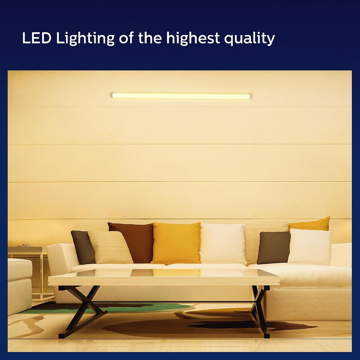 Philips 25W 4ft LED Tubelight