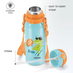 Torque Stainless Steel Bottle (Milton)