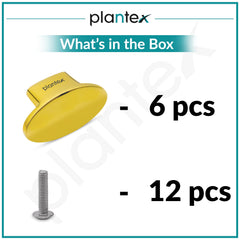 Plantex Knobs for Drawer/Small Drawer Knobs/Knobs for Cabinets/Pull-Push Knobs for Kitchen/Bedroom Drawer - Pack of 6 (Oval, Gold)-5