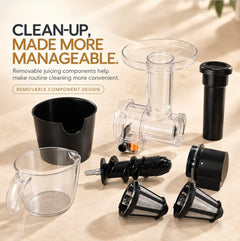 Faber FSJ NutriSip 150 Cold Press Slow Juicer | 200 Watts Motor| Safety Protection System|Low Vibration|SS 304 Mesh Filt