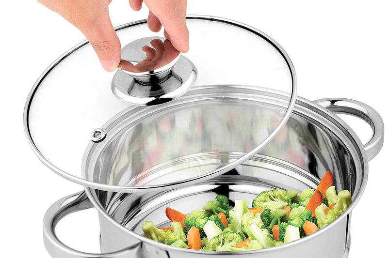 Pigeon by Stovekraft Steel X Steamer Stainless Steel Induction Base, Modak Maker/Momo Maker, Dual Compartment With Glass
