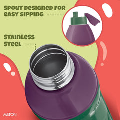 Marvel Slim Steel Insulated Bottle (Milton)
