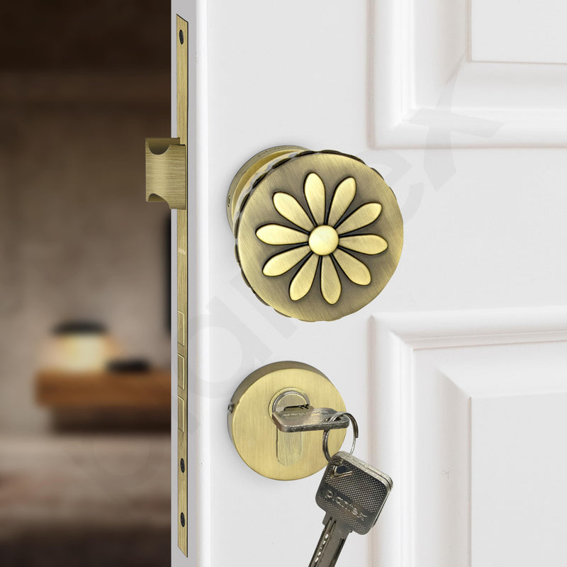 Plantex Heavy Duty Mortise Door Lock/Handle Set for Home/Office (Brass Antique & Gold)-6