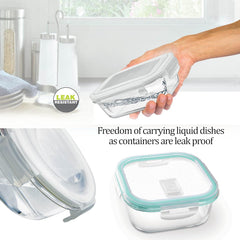 Clip Fresh Square Container (Treo by Milton)