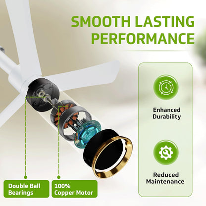 V-Guard Insight-G Premium BLDC Ceiling Fan For Home | 6 Speed Settings | 5-Star Energy Saving | Convenient Remote Control | High-Speed 100% Copper Motor | 1.2M (Blossom White Matte)