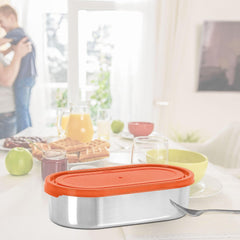 Steel Refresh Tiffin (Milton)