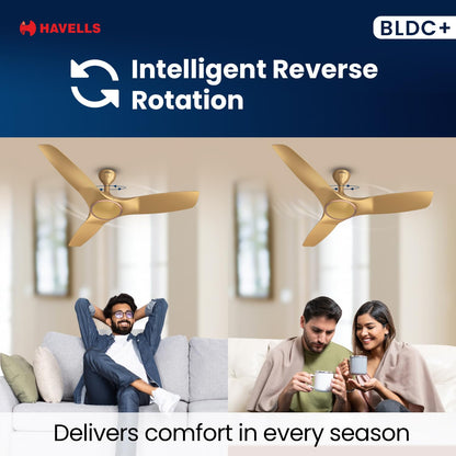 Havells 1200mm Stealth Air BLDC Motor Ceiling Fan | Remote Controlled, High Air Delivery Fan | 5 Star Rated, Upto 60% Energy Saving, 2 Year Brand Warranty | (Pack of 1, Champagne)