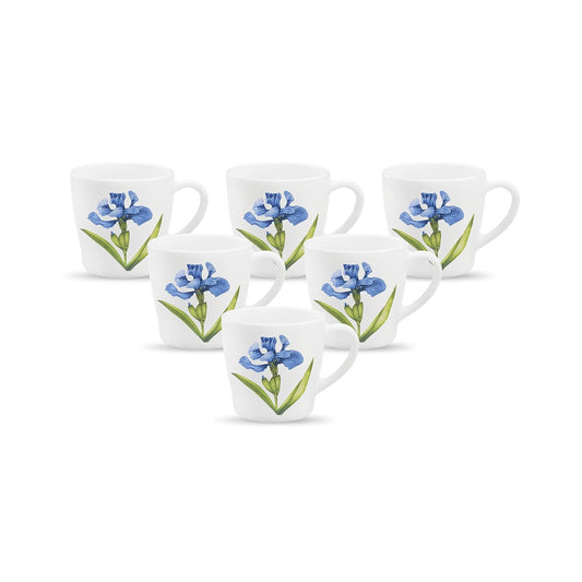 La Opala Diva, Opal Glass Crockery | Cup Gloria, Set of 6 | Royal Iris, 160 ml | for Tea & Coffee | Microwave Safe | 100% Vegetarian | Toughened Extra Strong | Super Light | Super White