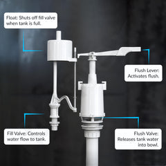 Plantex Indian Toilet with Flush Tank/Ceramic Squating Pan/Flushing Cistern for Bathroom/Indian Commode with 8 ltr. Capacity Flush Tank - Combo (White) (Model APS-2262)-6