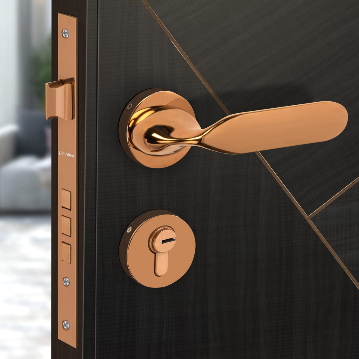 Plantex Premium Door Lock with 3 Years of Warranty/Main Door Locks for Home/Mortise Lock Set for Home (7106 - PVD Choco)-6