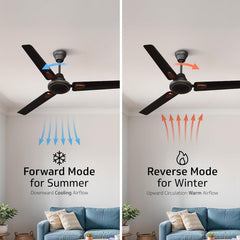 V-Guard Windle Deco BLDC 1200 mm Ceiling Fan with Remote-6