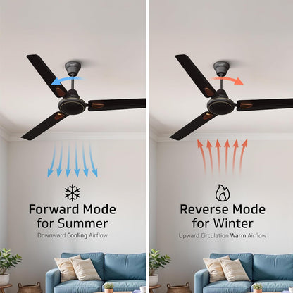 V-Guard Windle Deco BLDC Ceiling Fan for Home | BEE 5 Star Rating | Remote Control | 380 RPM | 1.2 meters | 2-Year Coverage | Matte Brown