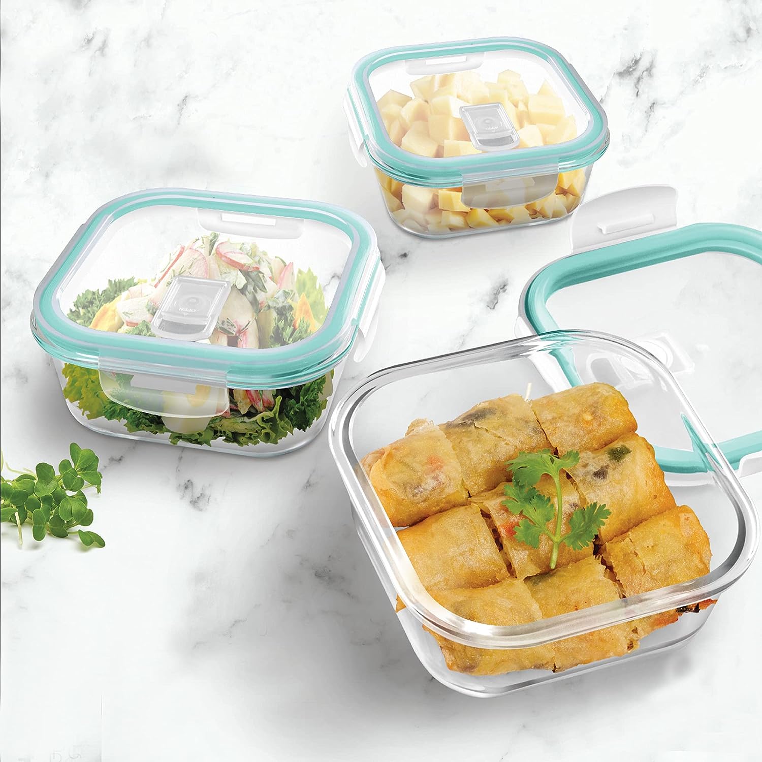 Clip Fresh Square Container (Treo by Milton)