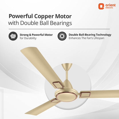 Orient Electric 1200 mm Falcon 425 Deco Ceiling Fan (Royal Manioca)