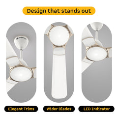 atomberg Erica Nuvo 1200mm BLDC Ceiling Fan with Remote | Award Winning Designer Fan | BEE 5 star | High Air Delivery | Low noise operation | Elegant Trims | 3 Year Warranty | Snow White