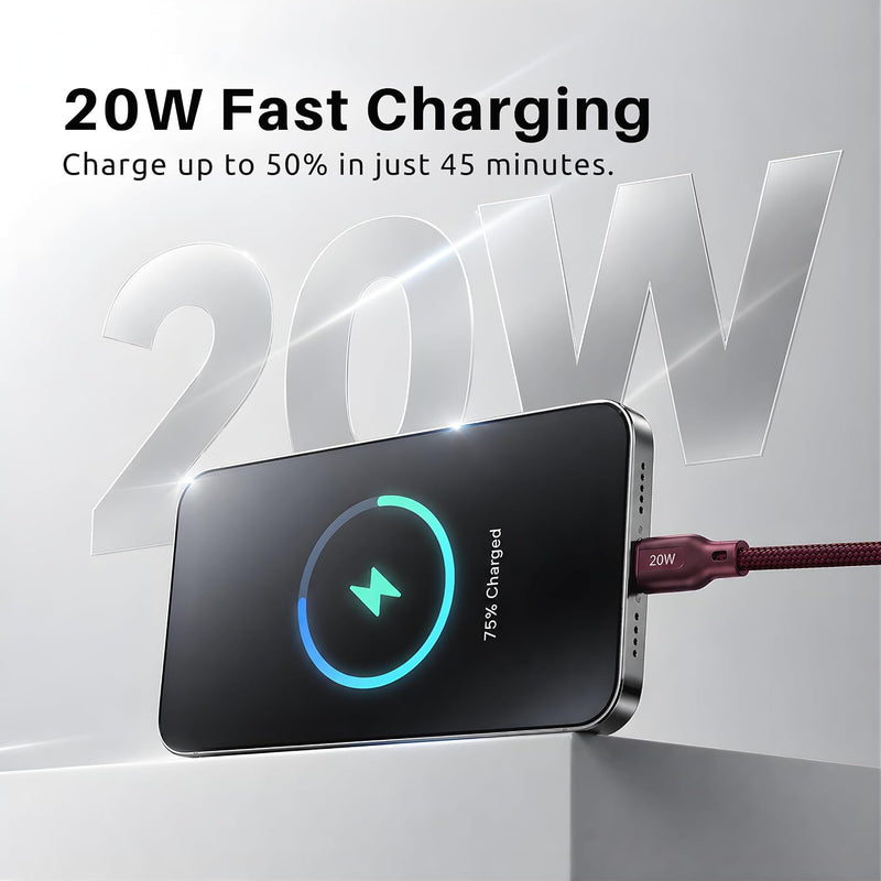 Philips DLC4150VI/94 20W iPhone Original Type-A to Lightning Fast Charging Cable (1.5m, Iron Red)
