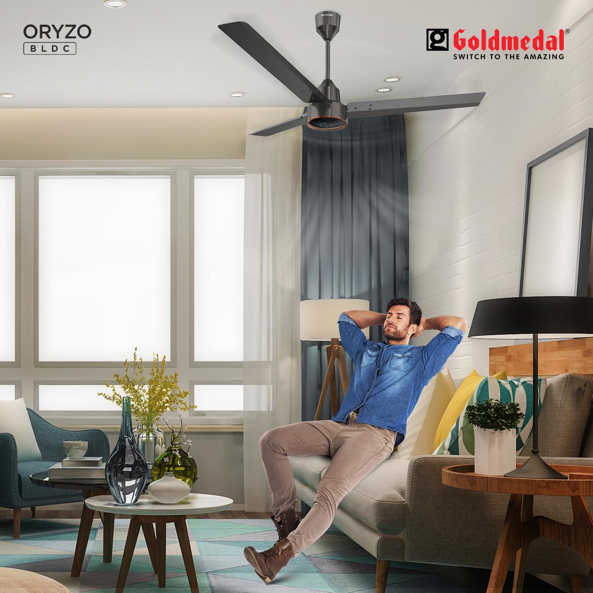 Goldmedal Oryzo BLDC 1200 mm Ceiling Fan with Remote-4