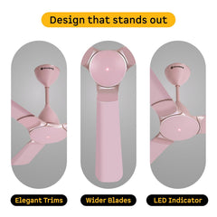 atomberg Erica Nuvo 1200mm BLDC Ceiling Fan with Remote | Award Winning Designer Fan | BEE 5 star | High Air Delivery | Low noise operation | Elegant Trims | 3 Year Warranty | Lotus Pink