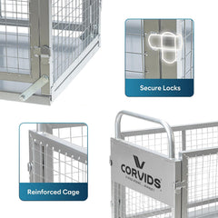 Corvids 200 Kg Heavy-Duty Mild Steel Cage Platform Trolley | 2-Year Warranty | 6-Inch TPR Wheels, Dual Handles | Industrial Material Handling Cart for Warehouse, Factory, Store, Hotel & Home