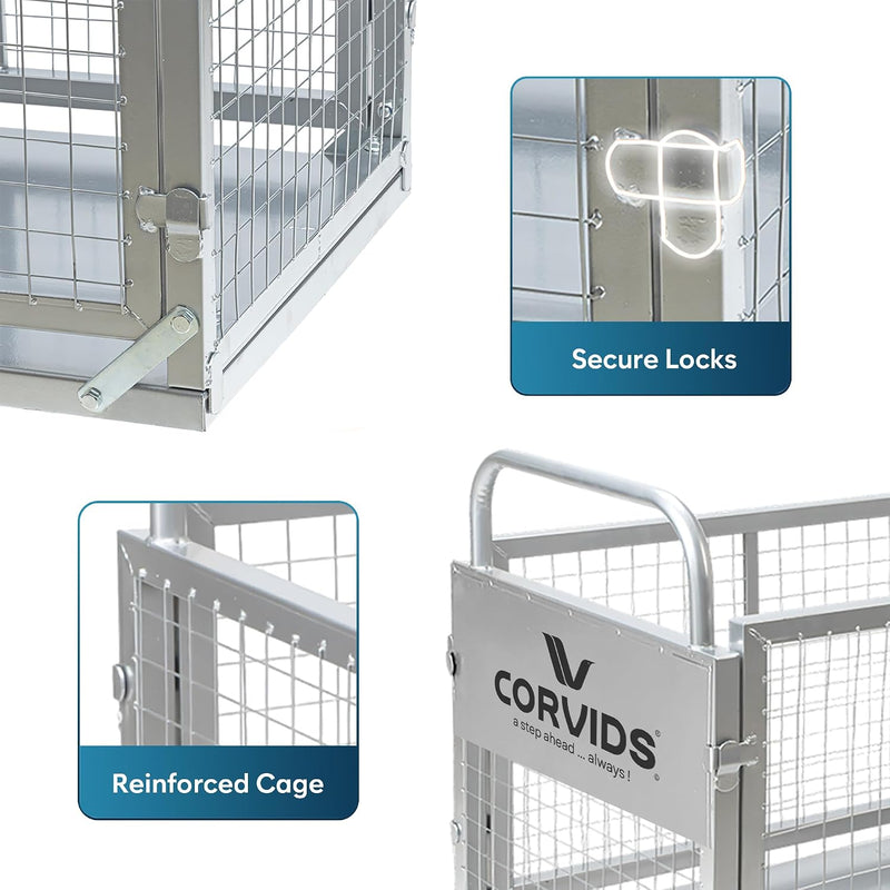 Corvids 200 Kg Heavy-Duty Mild Steel Cage Platform Trolley | 2-Year Warranty | 6-Inch TPR Wheels, Dual Handles | Industrial Material Handling Cart for Warehouse, Factory, Store, Hotel & Home
