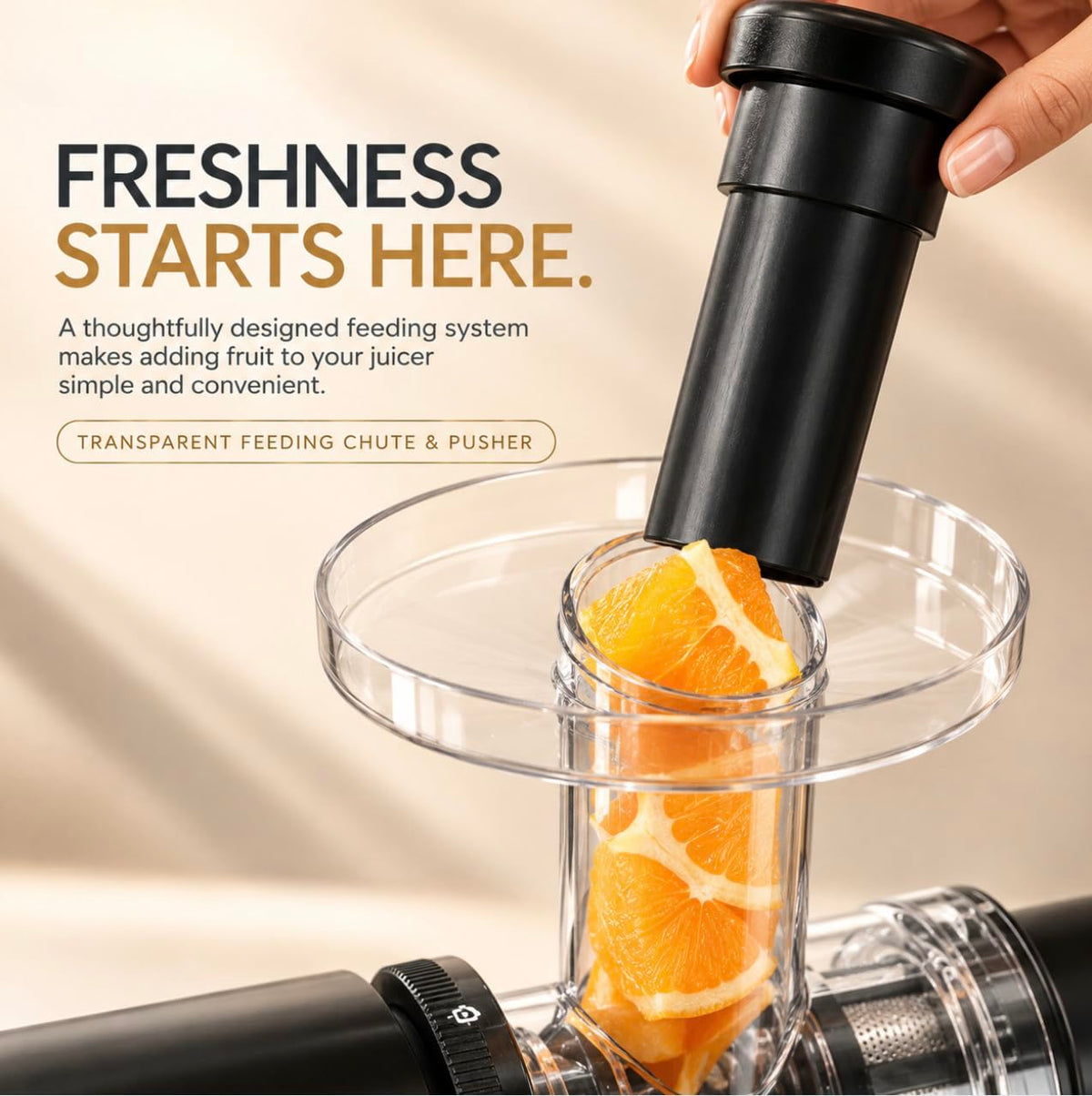 Faber FSJ NutriSip 150 Cold Press Slow Juicer | 200 Watts Motor| Safety Protection System|Low Vibration|SS 304 Mesh Filt