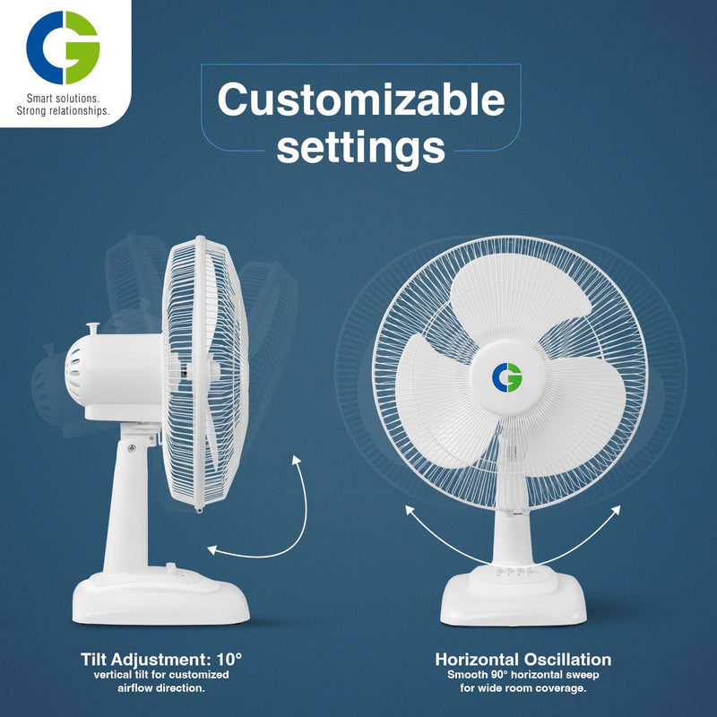 CG VHEG Table Fan 400mm-4