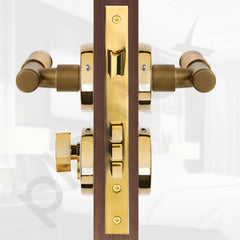 Plantex Premium Door Lock with 3 Years of Warranty/Main Door Locks for Home/Mortise Lock Set for Door (PVD Gold)-5