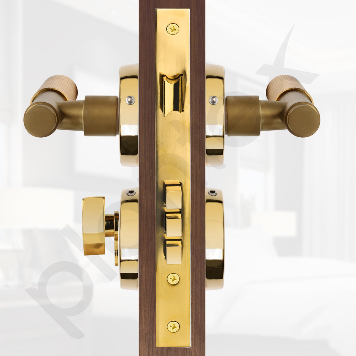 Plantex Premium Door Lock with 3 Years of Warranty/Main Door Locks for Home/Mortise Lock Set for Door (PVD Gold)-5