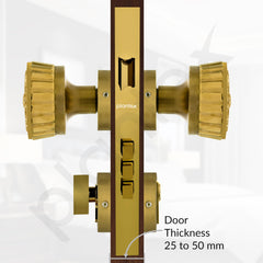 Plantex Heavy Duty Door Lock/Main Door Mortise Lock Handle/Handle Set for Home/Office/Door Accessories (Gold)-5