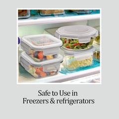 Clip Fresh Square Container (Treo by Milton)