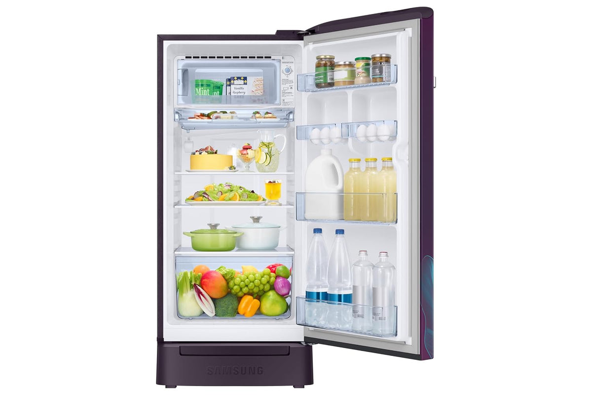 Samsung 189 L, 5 Star, Digital Inverter, Direct-Cool Single Door Refrigerator (RR21H2H259R/HL, Paradise Bloom Red, Base Stand Drawer, Single Touch)-5