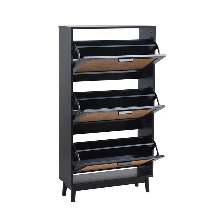 Canora Shoe Cabinet