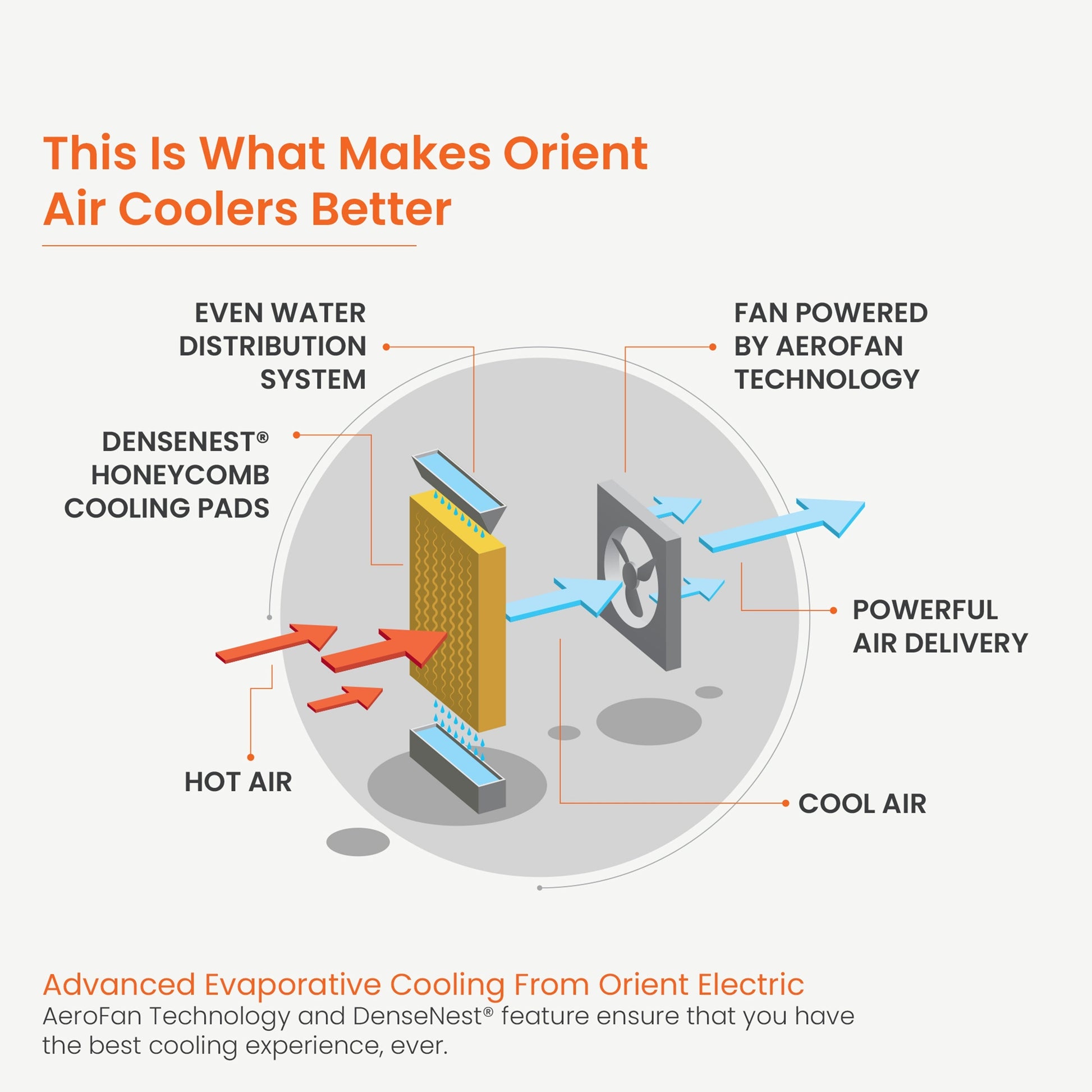 Ultimo Desert Air Cooler