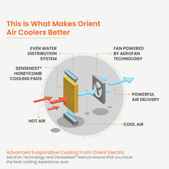 Ultimo Desert Air Cooler