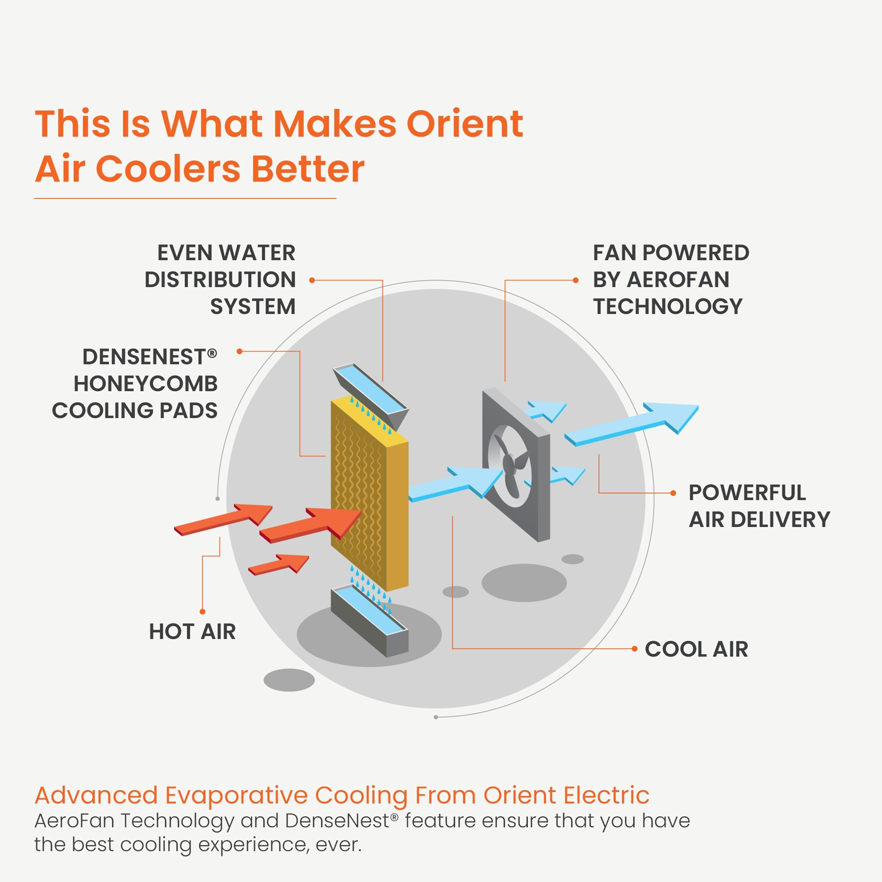 Ultimo Desert Air Cooler