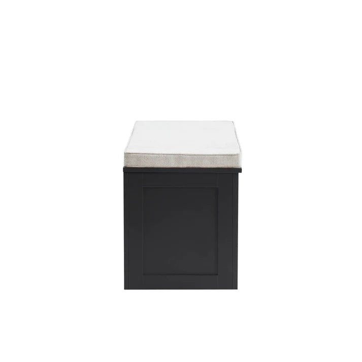 Canora Storage Trunk
