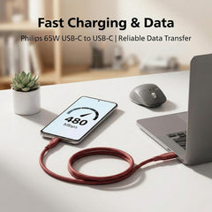 Philips DLC4160CI/94 65W Type-C to Type-C Fast Charging Cable (2m, Iron Red)