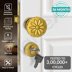 Plantex Heavy Duty Door Lock/Main Door Mortise Lock Handle/Handle Set for Home/Office/Door Accessories (Gold)-2
