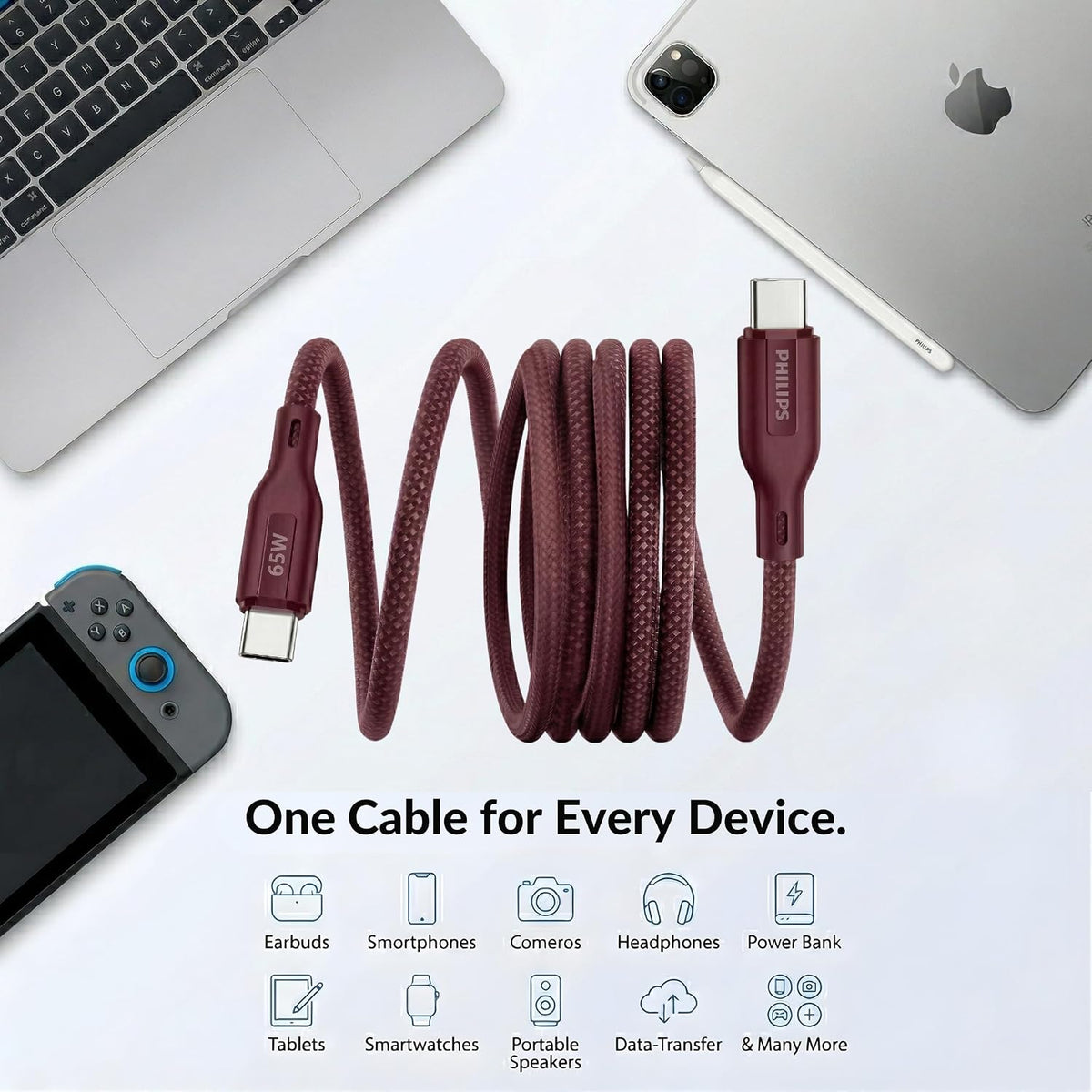 Philips DLC4160CI/94 65W Type-C to Type-C Fast Charging Cable (2m, Iron Red)